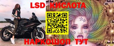 мяу мяу мука Берёзовский