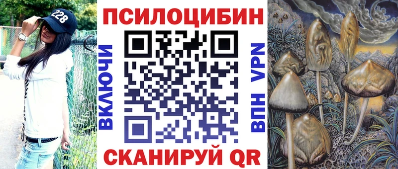 Галлюциногенные грибы Psilocybe  Коломна 