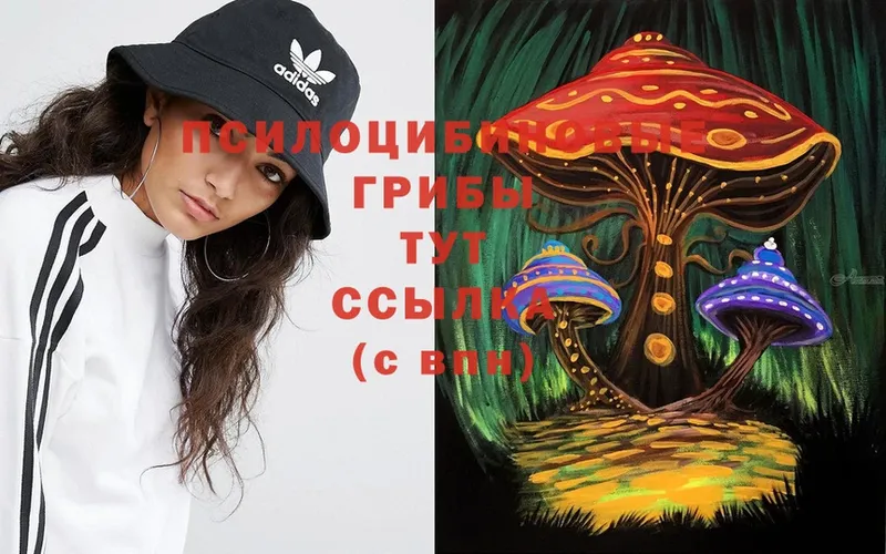 блэк спрут ССЫЛКА  Коломна  Галлюциногенные грибы Psilocybe  дарнет шоп 