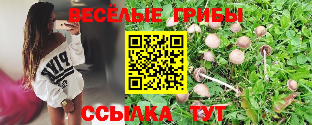 Галлюциногенные грибы MAGIC MUSHROOMS Коломна