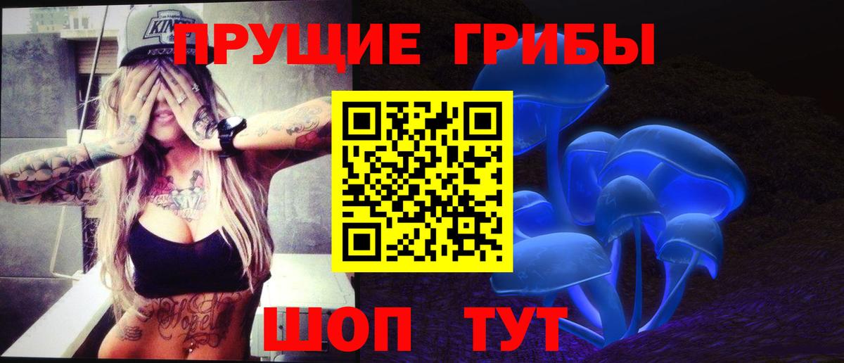 Псилоцибиновые грибы прущие грибы  Коломна  Псилоцибиновые грибы Psilocybe 